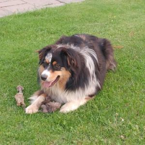 Meet your Posher, Kristy